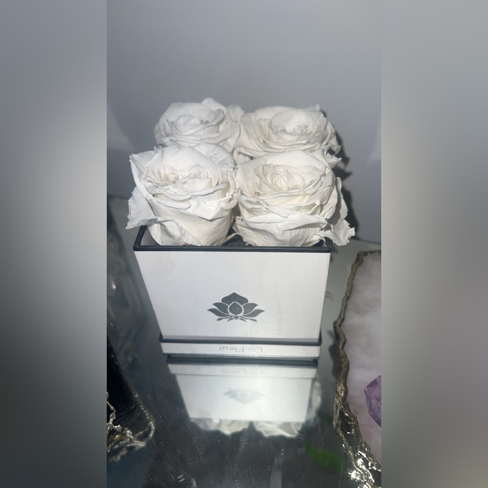 White Preserved Roses in Elegant Box